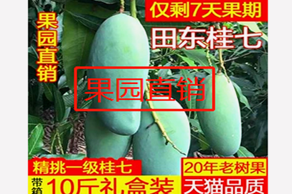 淘宝主图 淘宝主图