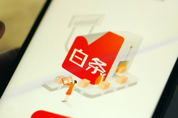 京东白条 京东白条