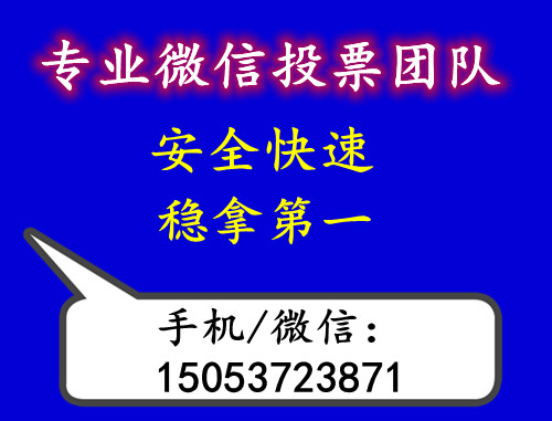 微信投票平台全网最低价格多少?纯人工投票价格多少钱 微信投票平台全网最低价格多少?纯人工投票价格多少钱