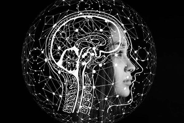 京东提升销量一天几单合适?怎么提升? 京东提升销量一天几单合适?怎么提升?