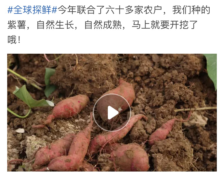 <a href=http://www.taofake.com/article/jiqiao/ target='_blank'>淘宝开店</a>运营 <a href=http://www.taofake.com/article/jiqiao/ target='_blank'>淘宝开店</a>运营