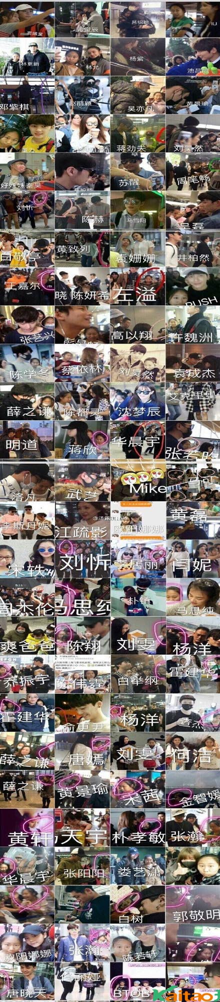 网红 网红