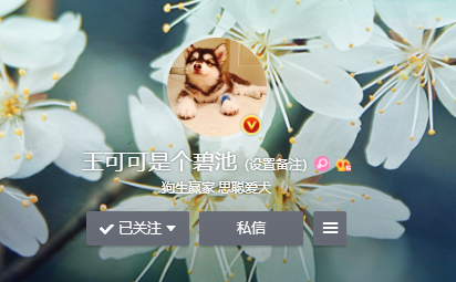 王可可淘宝店是真的吗 王可可淘宝店是真的吗
