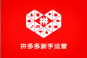 拼多多店铺引流有哪些方法?具体操作步骤是什么? 拼多多店铺引流有哪些方法?具体操作步骤是什么?
