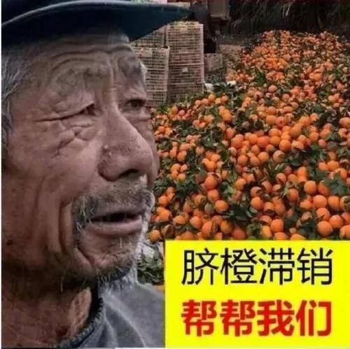 淘宝滞销款 淘宝滞销款