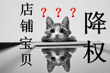 淘宝店铺降权 淘宝店铺降权