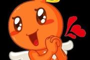 淘宝订单号怎么查询?物流信息怎么查询? 淘宝订单号怎么查询?物流信息怎么查询?