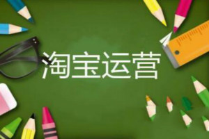 淘宝新店运营 淘宝新店运营