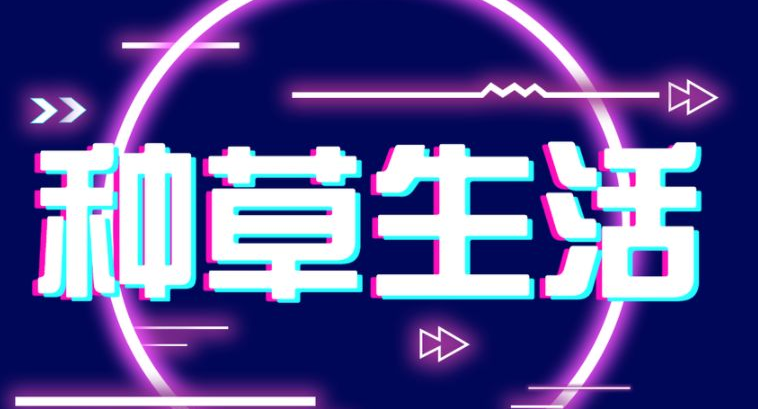 淘宝种草是什么意思?淘宝卖家如何种草? 淘宝种草是什么意思?淘宝卖家如何种草?