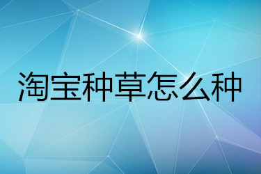 淘宝种草怎么种 淘宝种草怎么种