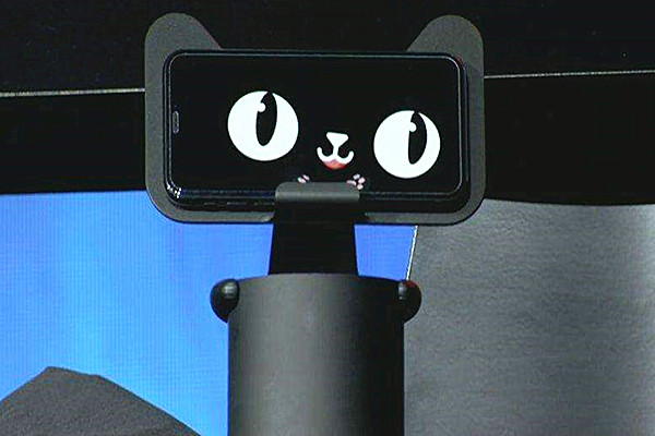天猫 天猫
