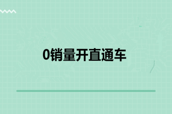 淘宝直通车 淘宝直通车