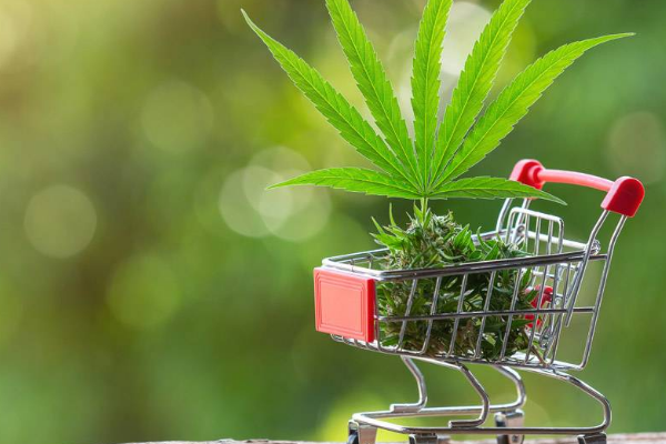 在网上开店需要什么手续?怎么申请营业执照? 在网上开店需要什么手续?怎么申请营业执照?