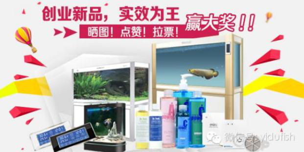 微信人工投票